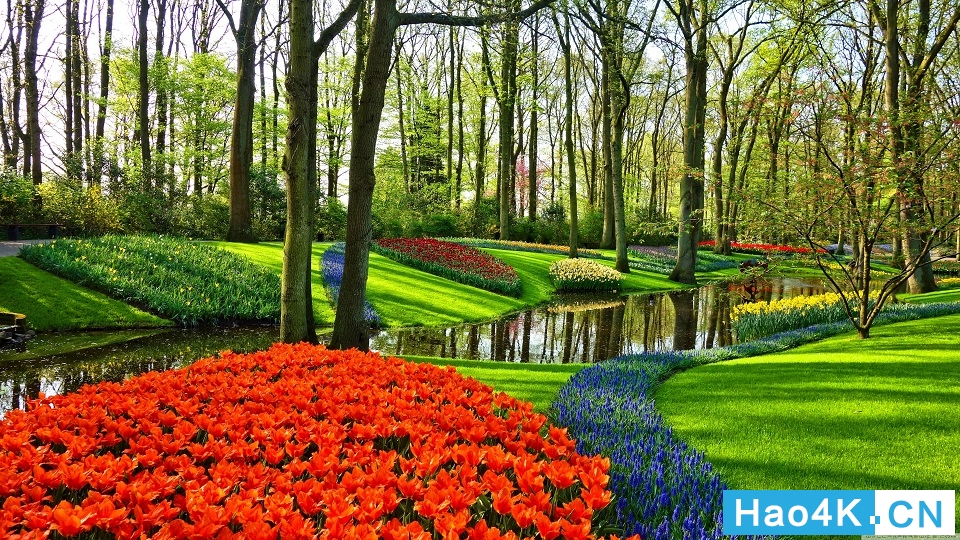 荷兰著名郁金香花园4k壁纸-[hao4k]3840x2160.jpg