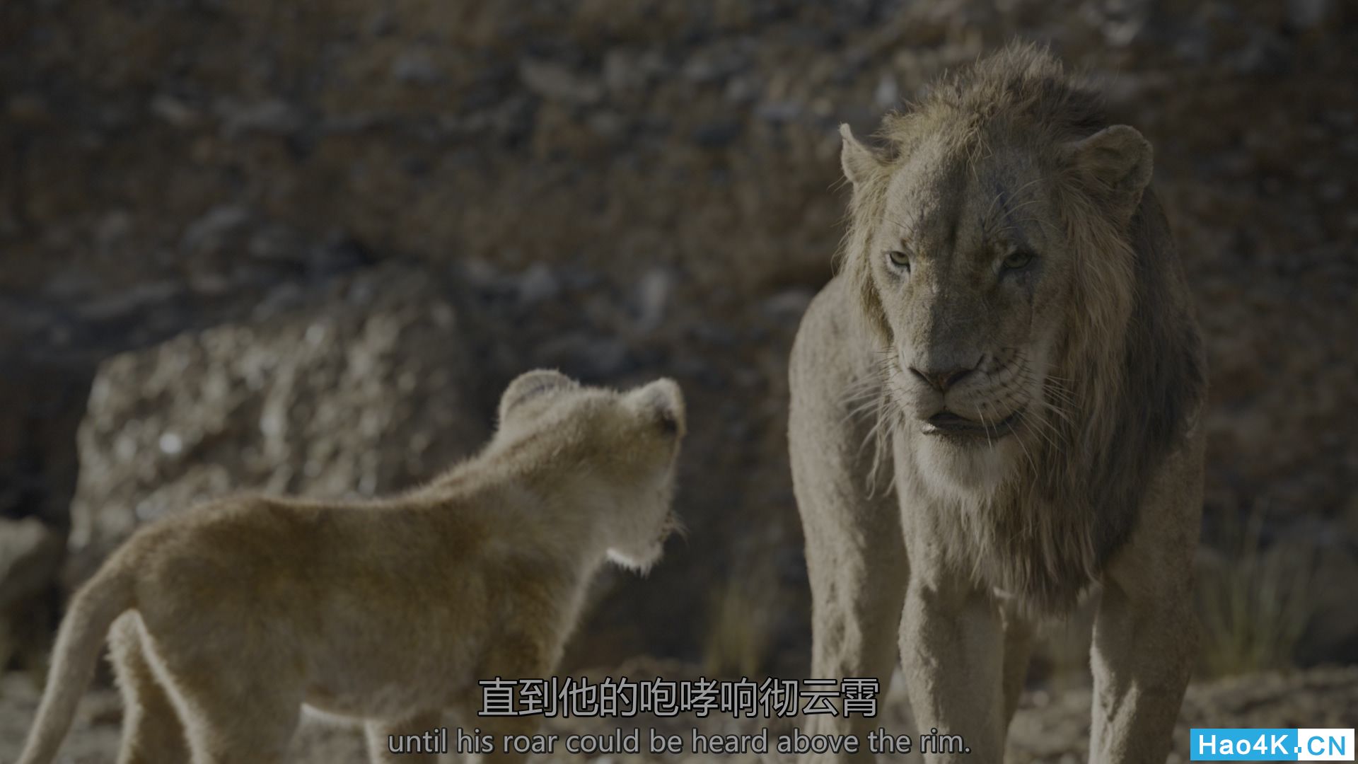 The.Lion.King.2019.2160p.BluRay.REMUX.HEVC.DTS-HD.MA.TrueHD.7.1-FGT.mkv_20191016.jpg