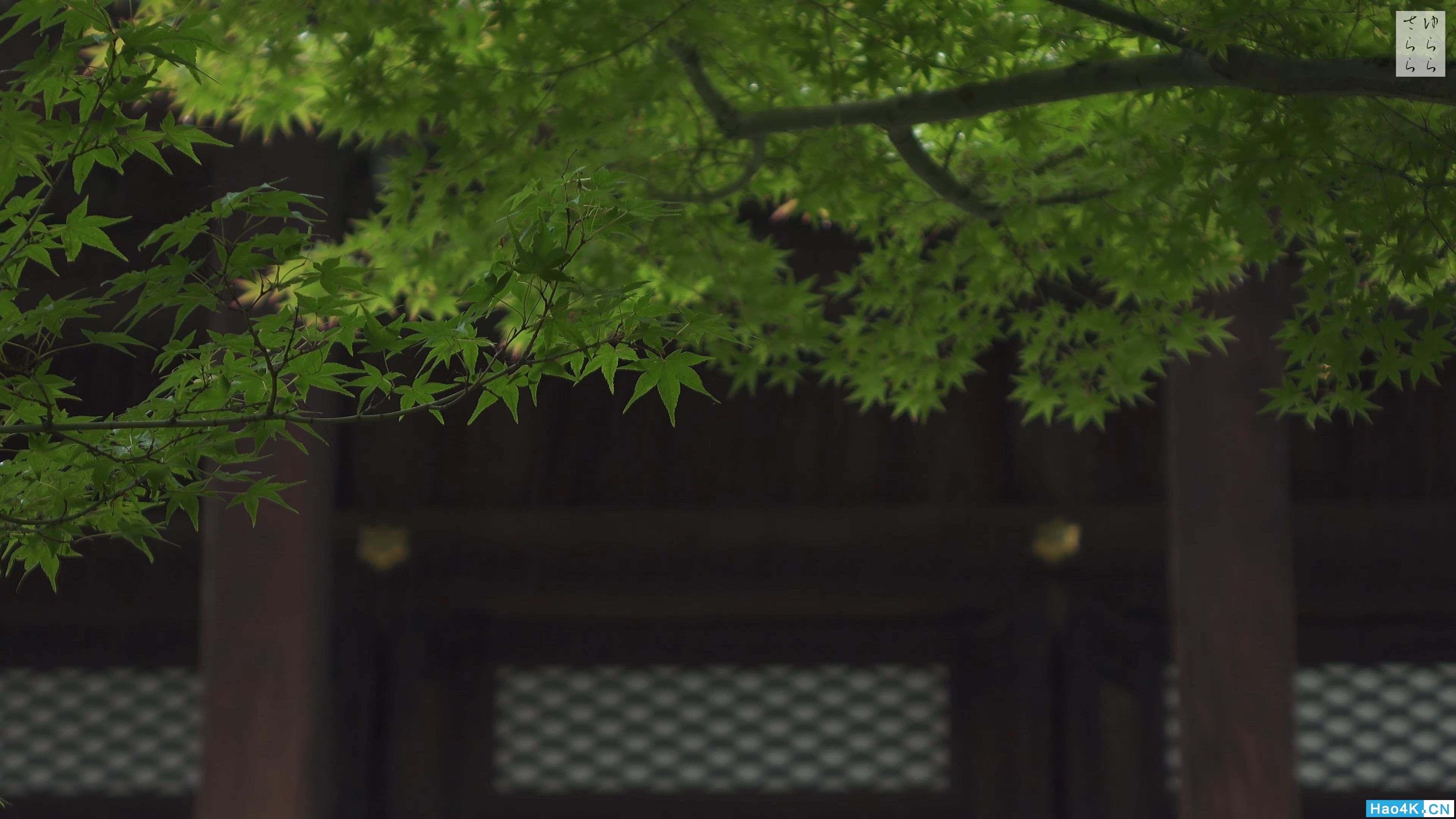 [4K] Q ͥ@EIKAN-DO [4K] The Garden of Kyoto Japan.mkv_snapshot_00..jpg