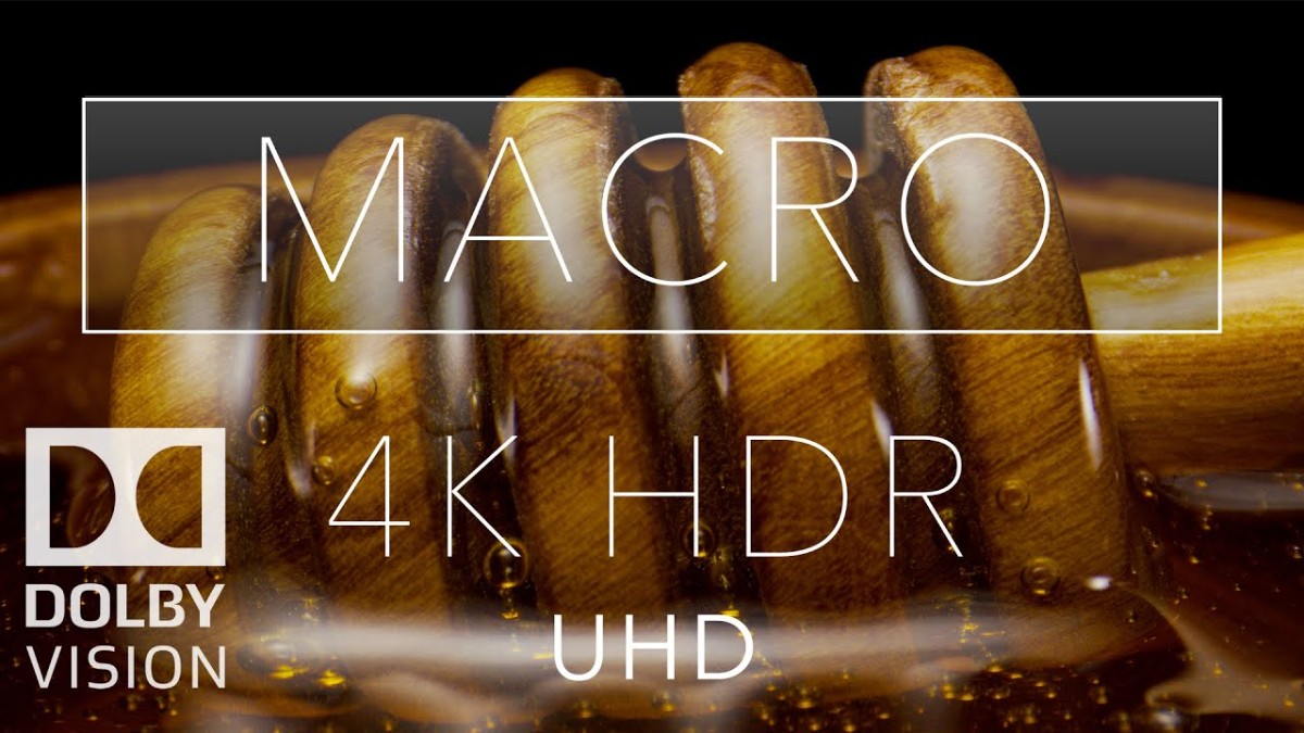 4. Macro HDR 4K 60fps Dolby Vision _ Laowa 24mm Probe Lens.jpg
