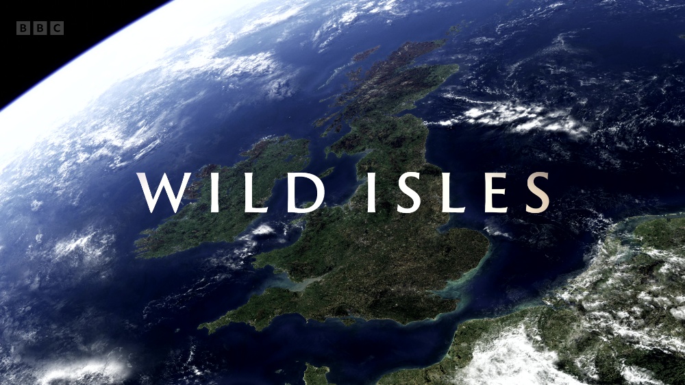Wild.Isles.S01E01.Our.Precious.Isles.2160p.iP.WEB-DL.AAC2.0.HLG.HEVC-NTb.mkv_20230325_090417.025.jpg