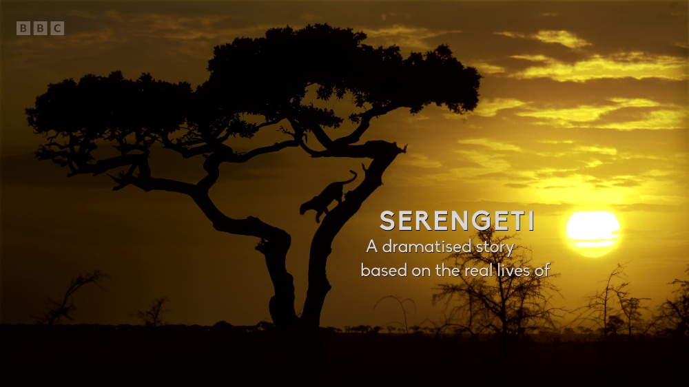 Serengeti.S03E01.2160p.iP.WEB-DL.AAC2.0.HLG.HEVC-PlayWEB.mkv_20230325_165050.685.jpg