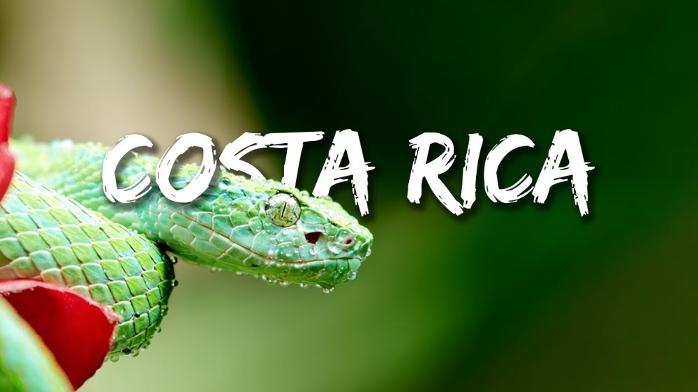 COSTA RICA IN 4K 60fps HDR ULTRA HD.jpg