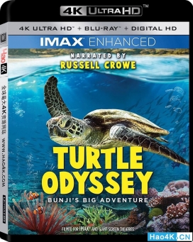 海龟大冒险4K.Turtle Odyssey 2018.UHD.蓝光原盘电影下载