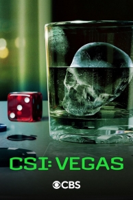 ֳ飺ά˹ CSI: Vegas Season 2~3 (2022~2024)