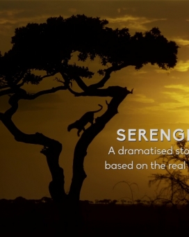 ׸ǵ4K Serengeti 20223ȫ62160P¼ƬԴ