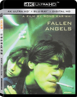 堕落天使4k.Fallen.Angels.1995.2160p.蓝光原盘电影下载