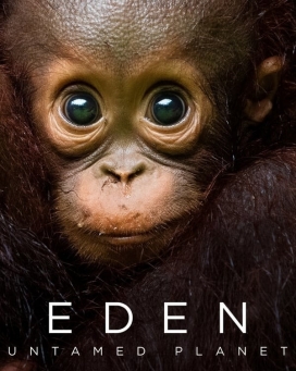 ԰ؾ4K Eden: Untamed Planet 20211ȫ062160PӢԴ