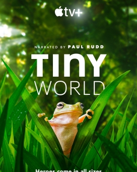СС ڶ Tiny World (2021)4KӰ¼Ƭ