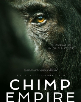 ɵ۹4K Chimp Empire 20231ȫ42160P¼ƬԴ