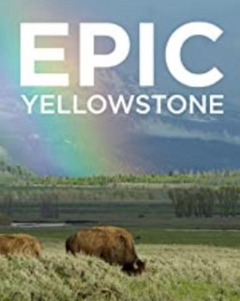 Epic.Yellowstone.S01.2160p纪录片下载